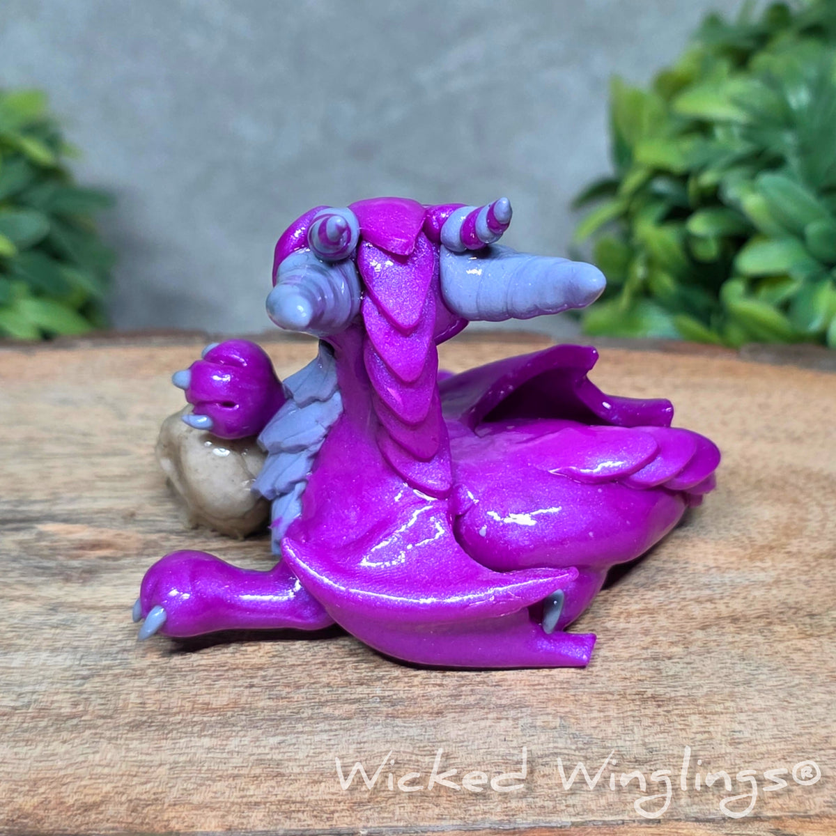  Back view of a clay dragon holding a skull sitting against a blurred background with greenery. Text says Wicked Winglings.