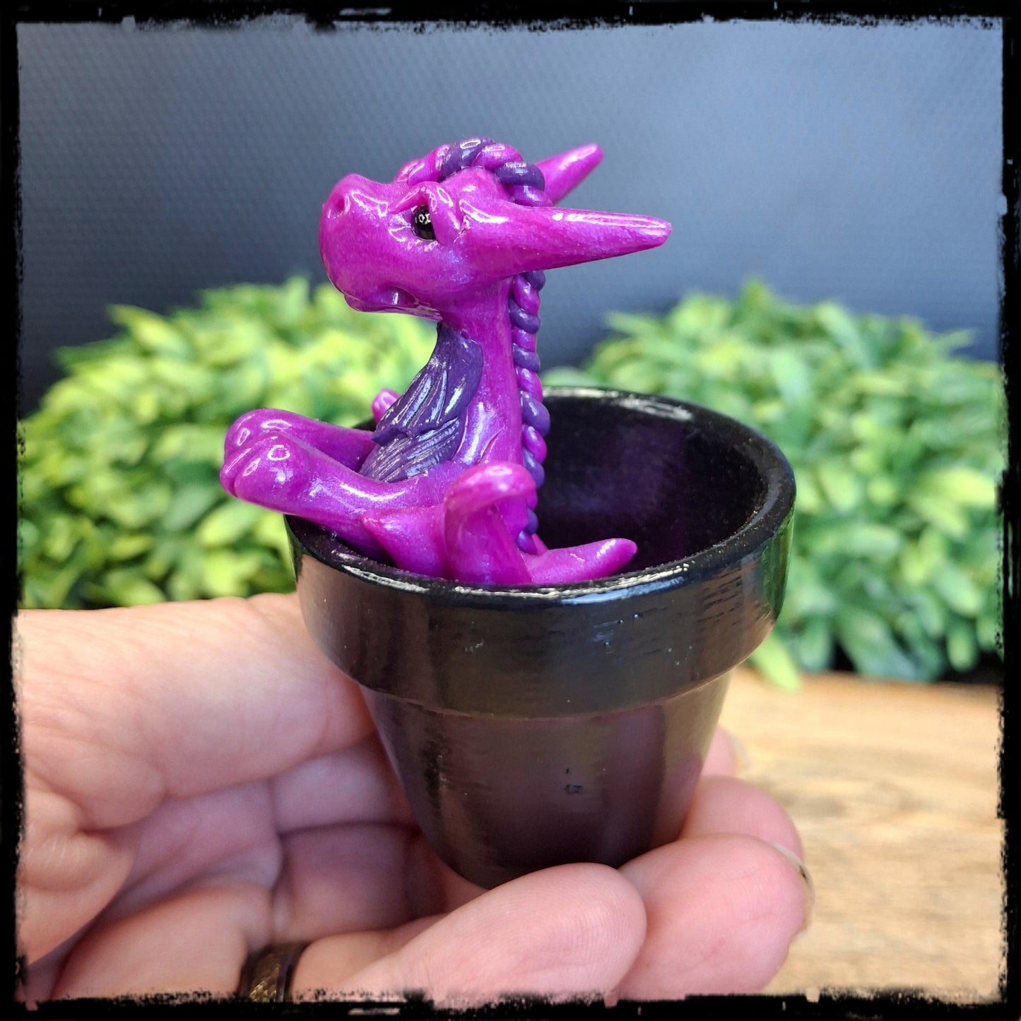 Saret- Original Hand Sculpted Dragon in Pot