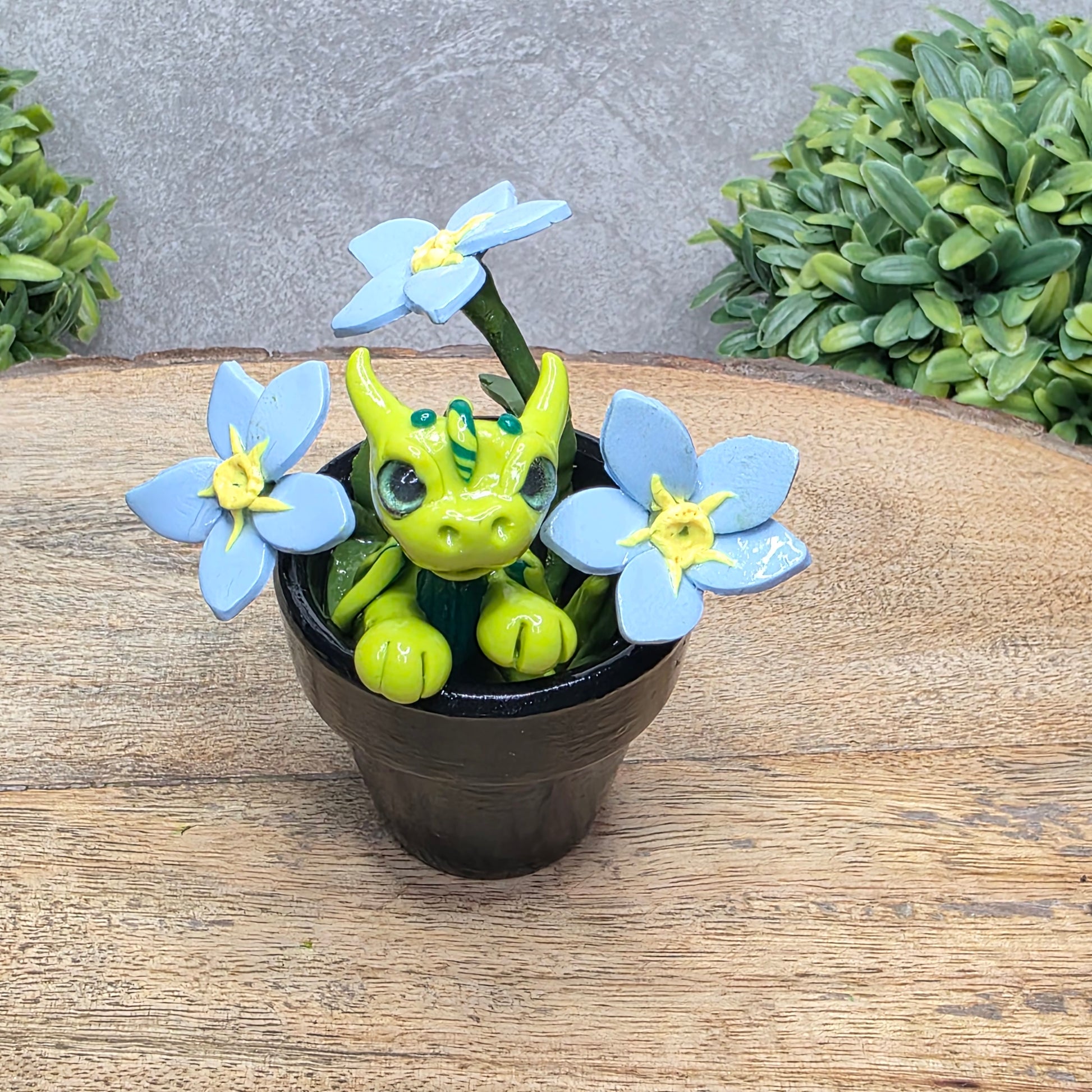 A clay baby dragon in a pot with forget me nots against a wood surface with greenery.