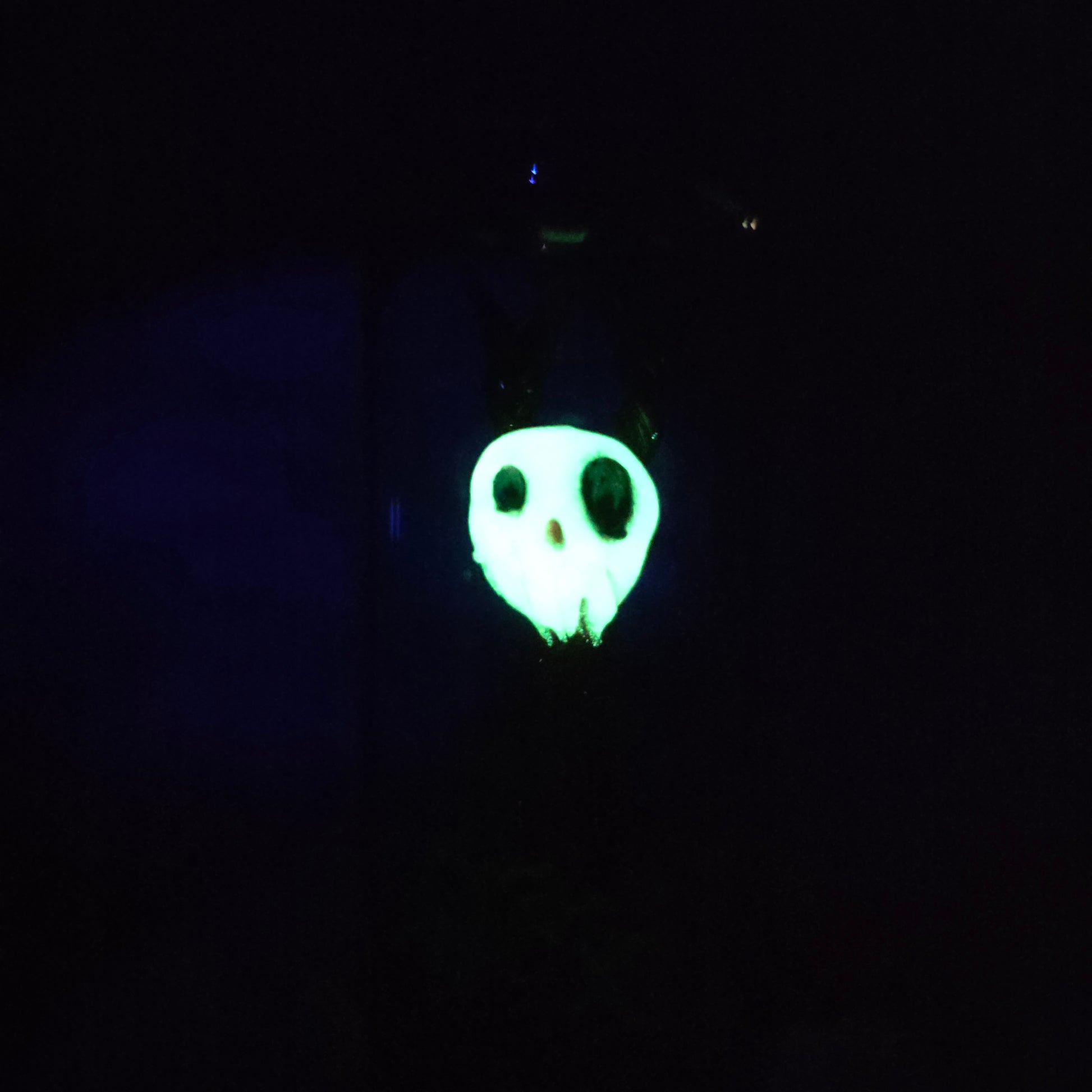Skullee-Wagz face glowing in dark