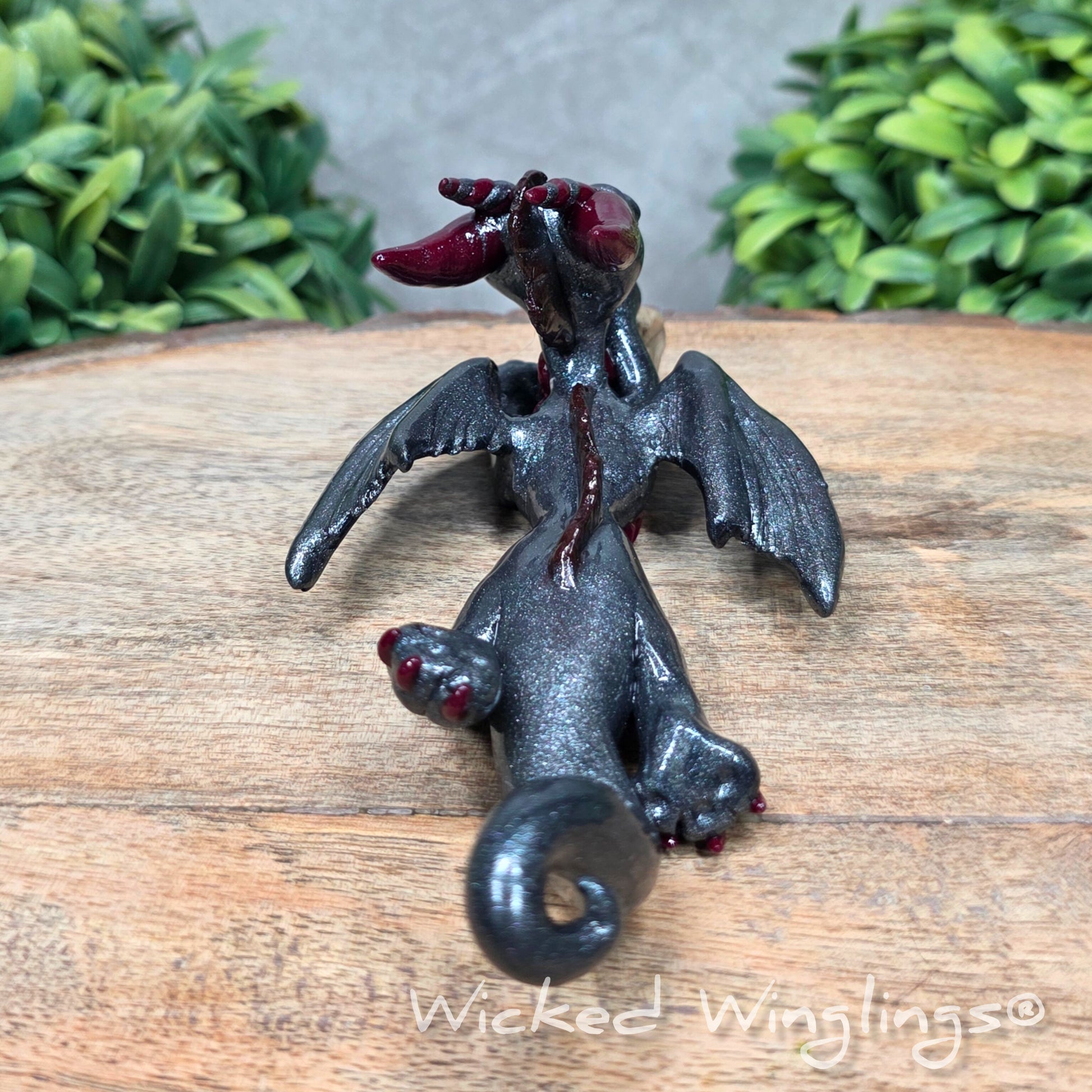 A clay dragon with a skull against a wood surface with greenery. Includes text Wicked Winglings