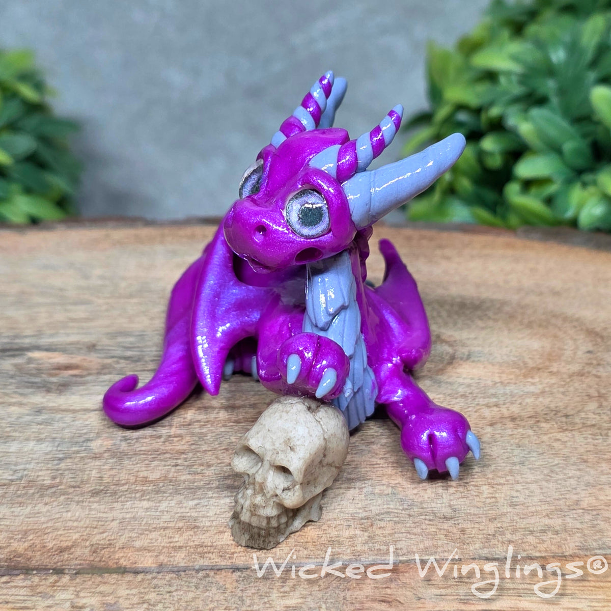  A clay dragon holding a skull sitting against a blurred background with greenery. Text says Wicked Winglings.