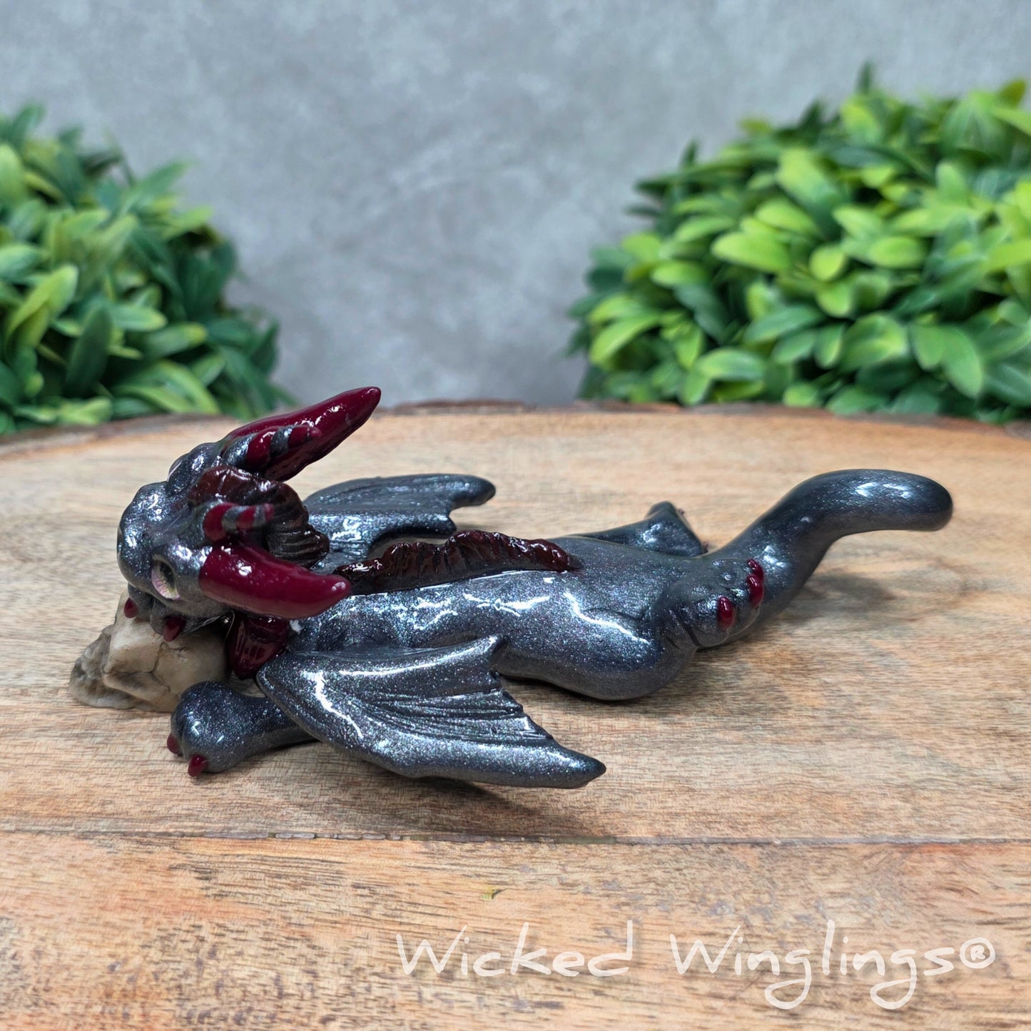 A clay dragon with a skull against a wood surface with greenery. Includes text Wicked Winglings