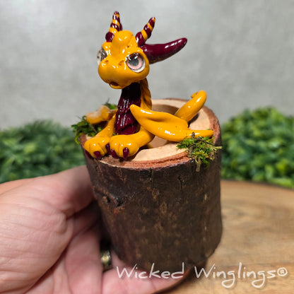 A hand holding a clay dragon in a wood stump against a blurred background. Text says Wicked Winglings