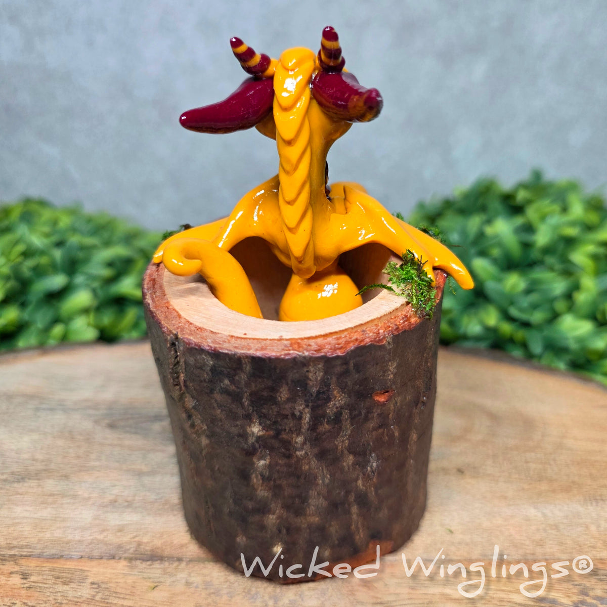 Back view of a clay dragon in a wood stump against a blurred background with greenery. Text says Wicked Winglings
