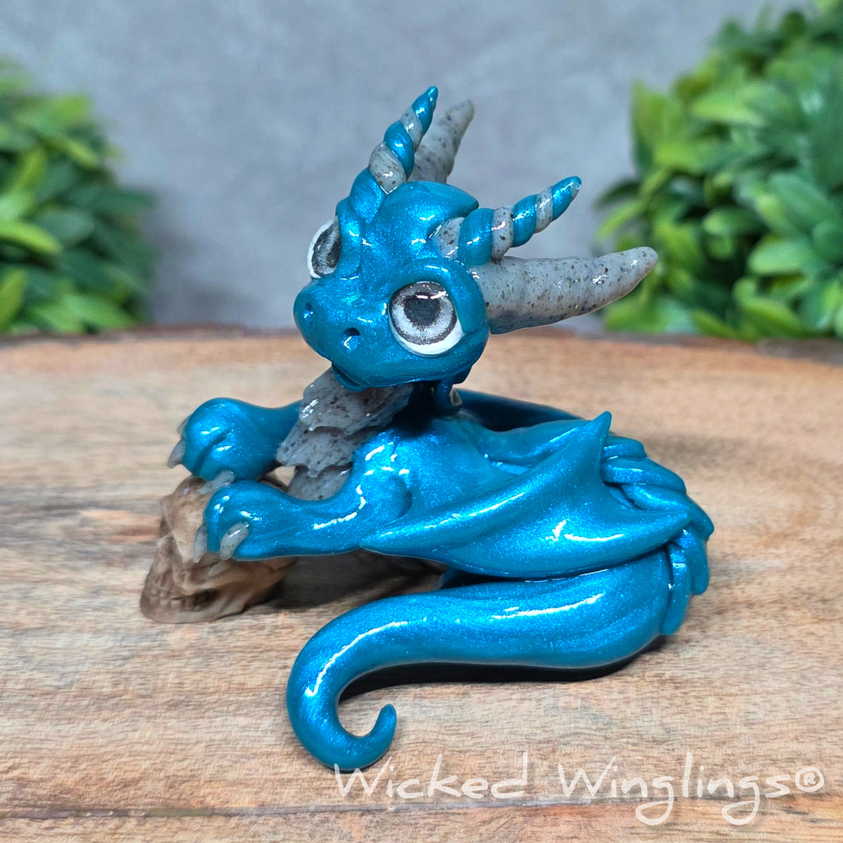  A clay dragon holding a skull sitting against a blurred background with greenery. Text says Wicked Winglings.