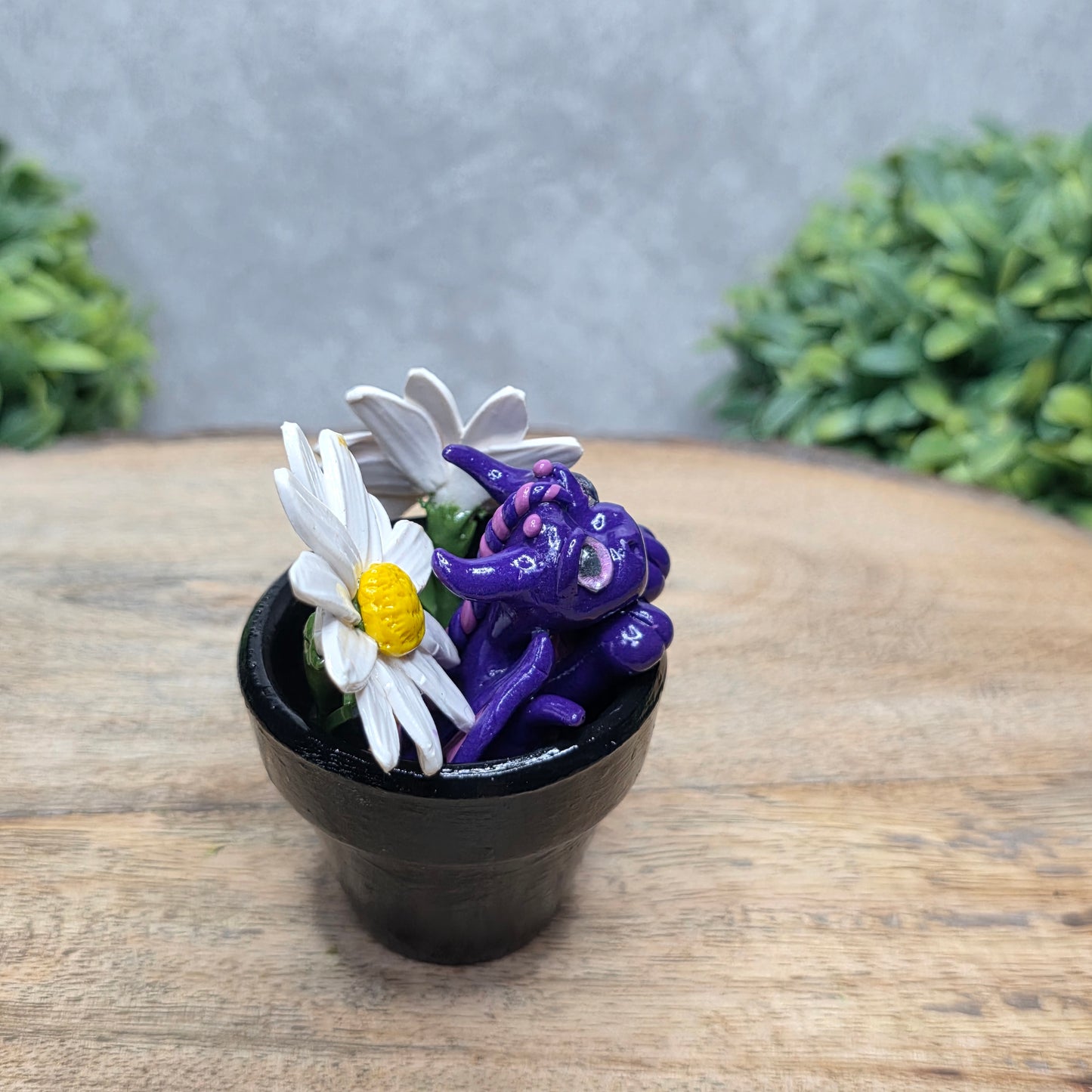 Side view of a clay baby dragon in a pot with daisies against a wood surface with greenery.